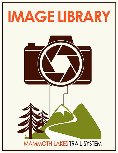 DOWNLOAD THE MLTS IMAGE LIBRARY WORKFLOW