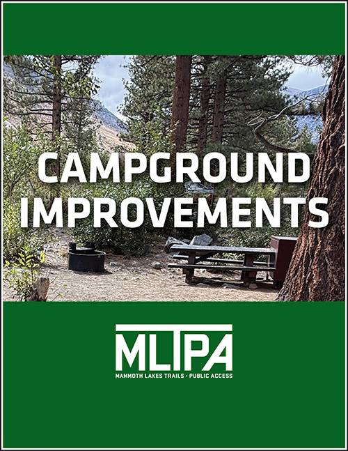 SIERRA BUSINESS COUNCIL CATALYST PROJECT WEB PAGE