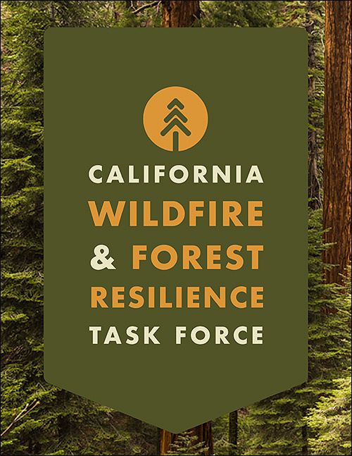 WILDFIRE & FOREST RESILIENCE TASK FORCE
