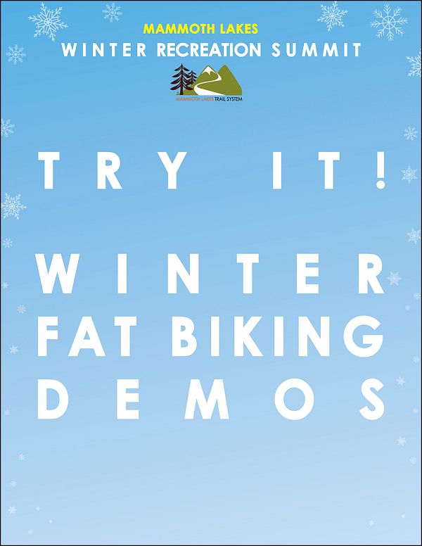 How Fat Bikes Became the Hottest Trend in Cycling